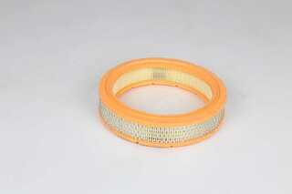 Air Filter (BSG 25-135-012)