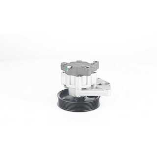 Hydraulic Pump, steering (BSG 60-355-030)