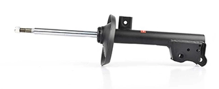 Shock Absorber (BSG 60-300-040)
