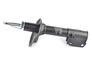 Shock Absorber (BSG 40-300-066)