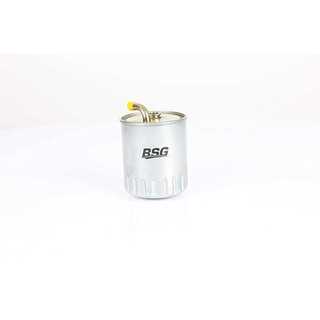 Fuel Filter (BSG 60-130-013)