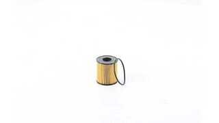 Oil Filter (BSG 15-140-014)