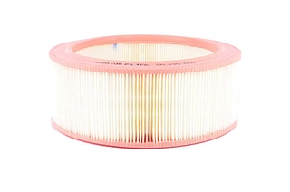 Air Filter (BSG 30-135-001)