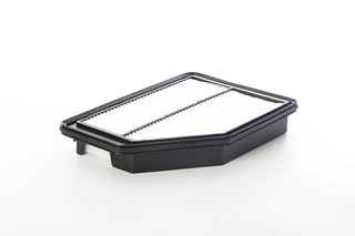 Air Filter (BSG 35-135-014)