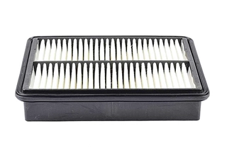 Air Filter (BSG 40-135-017)