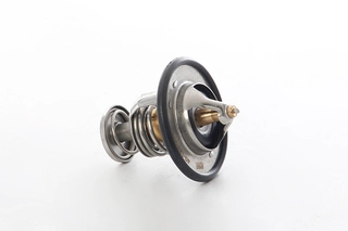Thermostat, coolant (BSG 40-126-008)