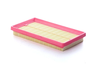 Air Filter (BSG 25-135-021)