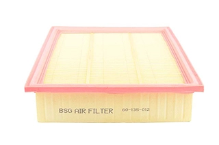 Air Filter (BSG 60-135-012)