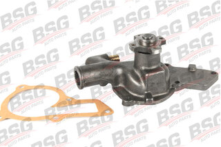 Water Pump, engine cooling (BSG 30-500-008)