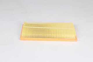 Air Filter (BSG 25-135-015)
