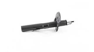 Shock Absorber (BSG 15-300-052)