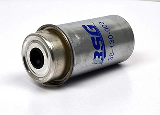 Fuel Filter (BSG 30-130-003)