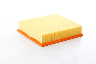 Air Filter (BSG 65-135-031)