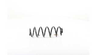 Suspension Spring (BSG 70-305-003)