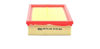 Air Filter (BSG 30-135-006)