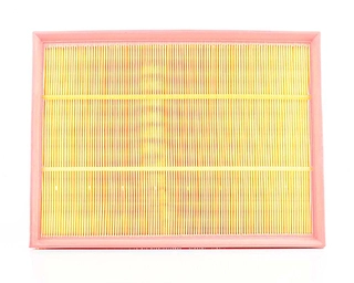 Air Filter (BSG 60-135-002)