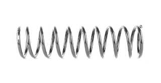 Suspension Spring (BSG 30-305-016)