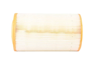 Air Filter (BSG 25-135-001)