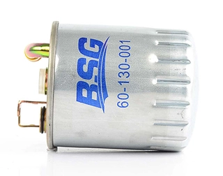 Fuel Filter (BSG 60-130-001)