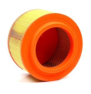 Air Filter (BSG 30-135-027)