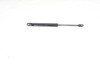Gas Spring, bonnet (BSG 15-980-002)