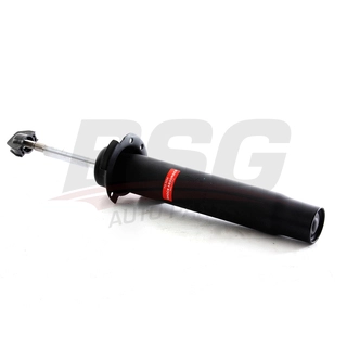 Shock Absorber (BSG 15-300-068)