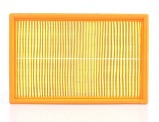 Air Filter (BSG 90-135-007)