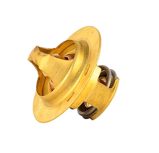 Thermostat, coolant (BSG 65-125-001)