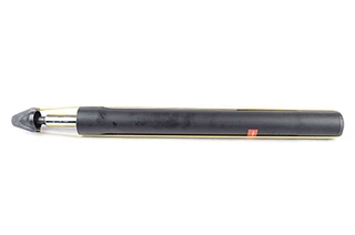 Shock Absorber (BSG 15-300-019)