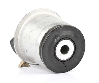 Bushing, axle beam (BSG 65-700-093)