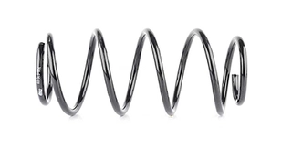 Suspension Spring (BSG 65-305-004)