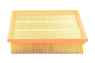 Air Filter (BSG 90-135-002)