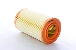 Air Filter (BSG 25-135-026)