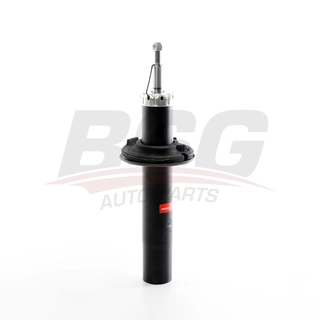 Shock Absorber (BSG 11-300-001)