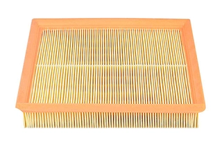 Air Filter (BSG 15-135-004)
