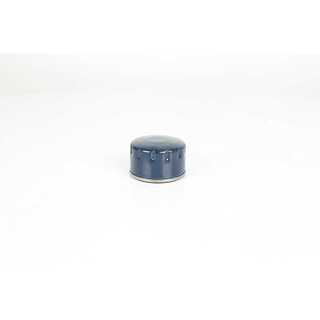 Oil Filter (BSG 75-140-005)