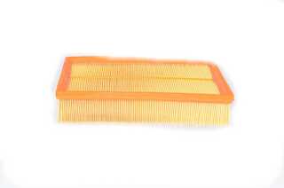 Air Filter (BSG 75-135-004)