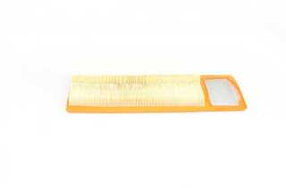 Air Filter (BSG 25-135-002)