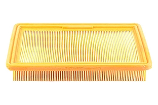 Air Filter (BSG 40-135-007)