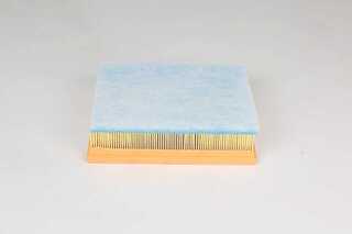 Air Filter (BSG 75-135-021)