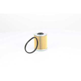Fuel Filter (BSG 75-130-011)