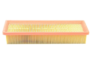 Air Filter (BSG 70-135-006)