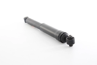 Shock Absorber (BSG 75-300-013)