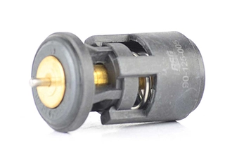 Thermostat, coolant (BSG 90-125-005)