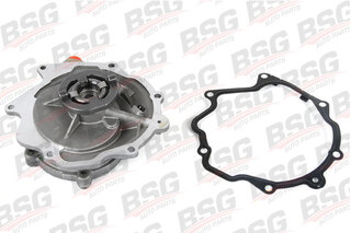 Vacuum Pump, braking system (BSG 60-235-002)