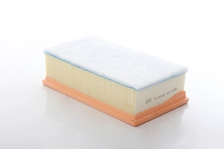 Air Filter (BSG 70-135-024)