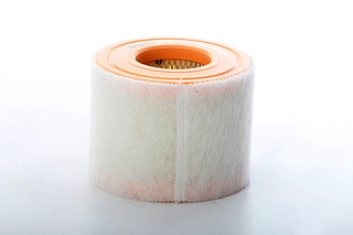 Air Filter (BSG 90-135-030)