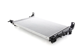 Radiator, engine cooling (BSG 25-520-029)