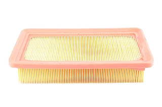 Air Filter (BSG 40-135-013)
