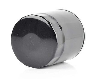 Fuel Filter (BSG 60-130-005)